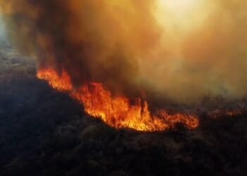 Detenido por provocar incendio forestal en Córdoba tras tirar brasas del asado