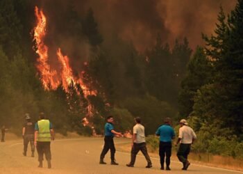 Día Mundial de la Prevención de Incendios Forestales: Claves para proteger nuestros bosques