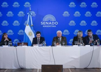 El Senado abre el debate del nuevo Régimen de Incentivo para atraer inversiones en tecnología
