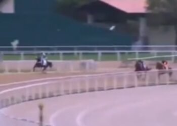 El turf sudamericano de luto: falleció el jockey Leandro Henrique tras un accidente