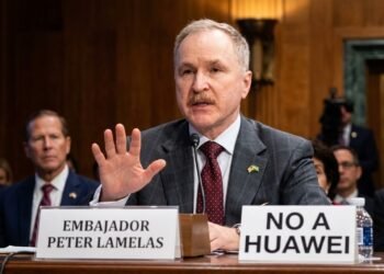 Estados Unidos alerta sobre riesgos de espionaje en Vaca Muerta por tecnología china