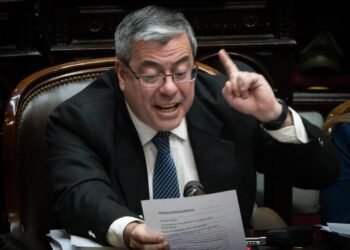 Fuerte cruce entre Germán Martínez y Martín Menem tras votación clave