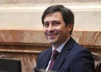 Goerling: Milei necesita alianzas para 2027 y critica su discurso