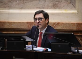 Goerling del PRO critica la eliminación de las PASO y aboga por un candidato propio
