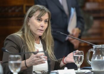 Juliana Di Tullio celebra la caída de modificaciones en Ley de Tierras y Manejo del Fuego