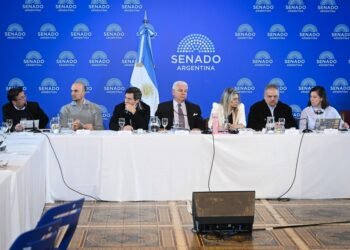 La Libertad Avanza busca avanzar con el Súper RIGI en el Senado, pero los aliados exigen cambios
