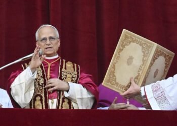 La Libertad Avanza impulsa proyectos para honrar la visita del Papa en noviembre