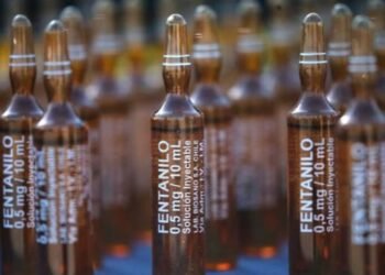 La ex titular de ANMAT se defiende en la causa del fentanilo contaminado
