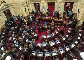 Los gobernadores se oponen a la extranjerización de tierras y frenan el proyecto oficial