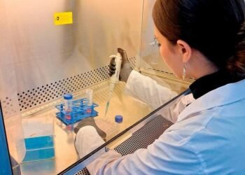 Nuevo test promete detectar trastornos del neurodesarrollo en niños con una simple muestra de sangre