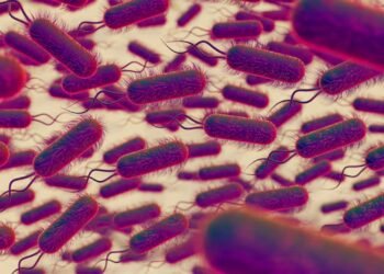 Prevención del Síndrome Urémico Hemolítico: 10 claves para protegerte