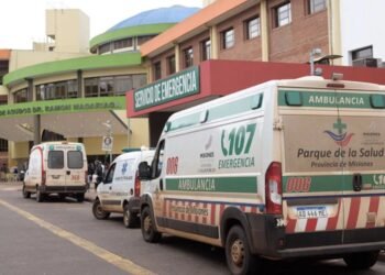 Tragedia en Misiones: un perro ataca y mata a una anciana de 93 años