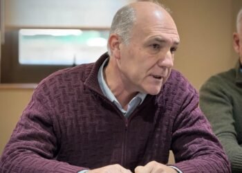 Carmona: «Milei opera en modo Galtieri al usar la Cuestión Malvinas»