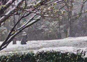 Córdoba se viste de blanco: nevadas en Altas Cumbres y localidades del sur