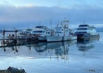 Crisis educativa y portuaria impactan al turismo en Tierra del Fuego