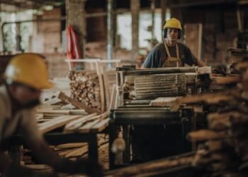 Crisis productiva en Misiones: yerba, forestación y mandioca en problemas
