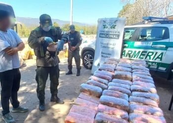 Detenida en Catamarca con drogas ocultas en peluches de capibara