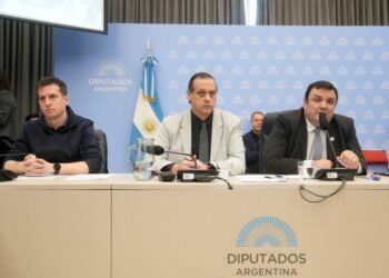 Diputados debaten la emergencia en discapacidad y cuestionan el presupuesto 2027