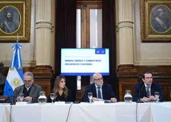 El Senado avanza en la reforma de biocombustibles y enfrenta desafíos con las pymes