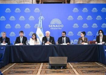 El Senado da luz verde al traspaso de causas de delitos sexuales y juveniles a CABA