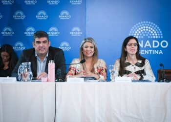 El Senado debate la reforma de Salud Mental y las internaciones involuntarias