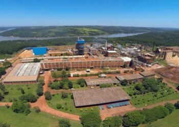 La Corte Suprema declara inconstitucional una ley de Misiones sobre la industria papelera