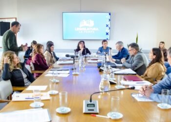 La Pampa avanza en la investigación a Niñez tras controversia por un bebé en Rancul