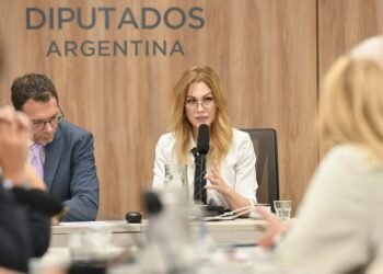 Lilia Lemoine destaca el fortalecimiento de la diplomacia argentina bajo Javier Milei