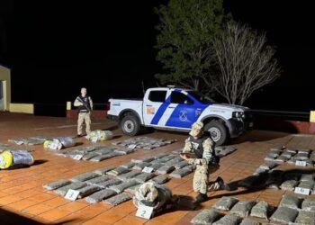 Más de 400 kilos de marihuana incautados en operativos de Misiones