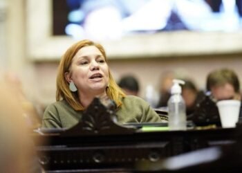 Tensión en el radicalismo por la reforma a la Zona Fría