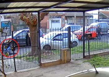 Tiroteo y caos en la entrada de una escuela en El Palomar