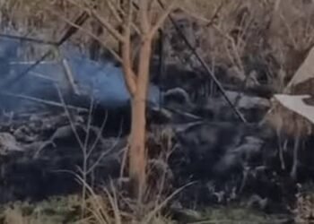 Tragedia en Misiones: un hombre muere al caer con su ala delta motorizada