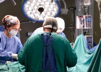 Un hito en la medicina argentina: el primer trasplante de médula ósea cumple 40 años