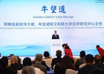 Vaca Narvaja: El ‘Momento Shenzhen’ como clave para un desarrollo compartido