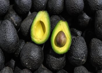 De no creer: un bebé de apenas 12 días murió luego de que una palta cayera sobre su cabeza