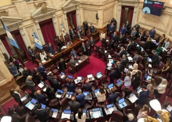 El Senado avanza en la reforma de la Ley de Salud Mental con internaciones involuntarias