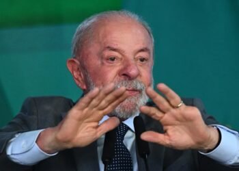 Opositores argentinos celebran la reelección de Lula da Silva en Brasil